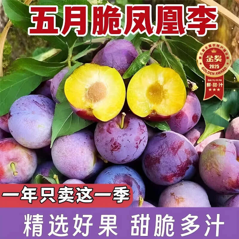 【果园现摘】四川五月脆凤凰李青脆脱骨李红脆甜应季孕妇水果包邮