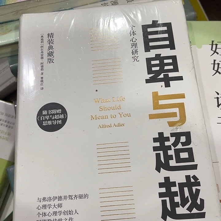 自卑与超越九米一个
