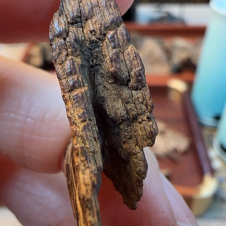 摆件沉香老海南沉水鸡母虫0.92克