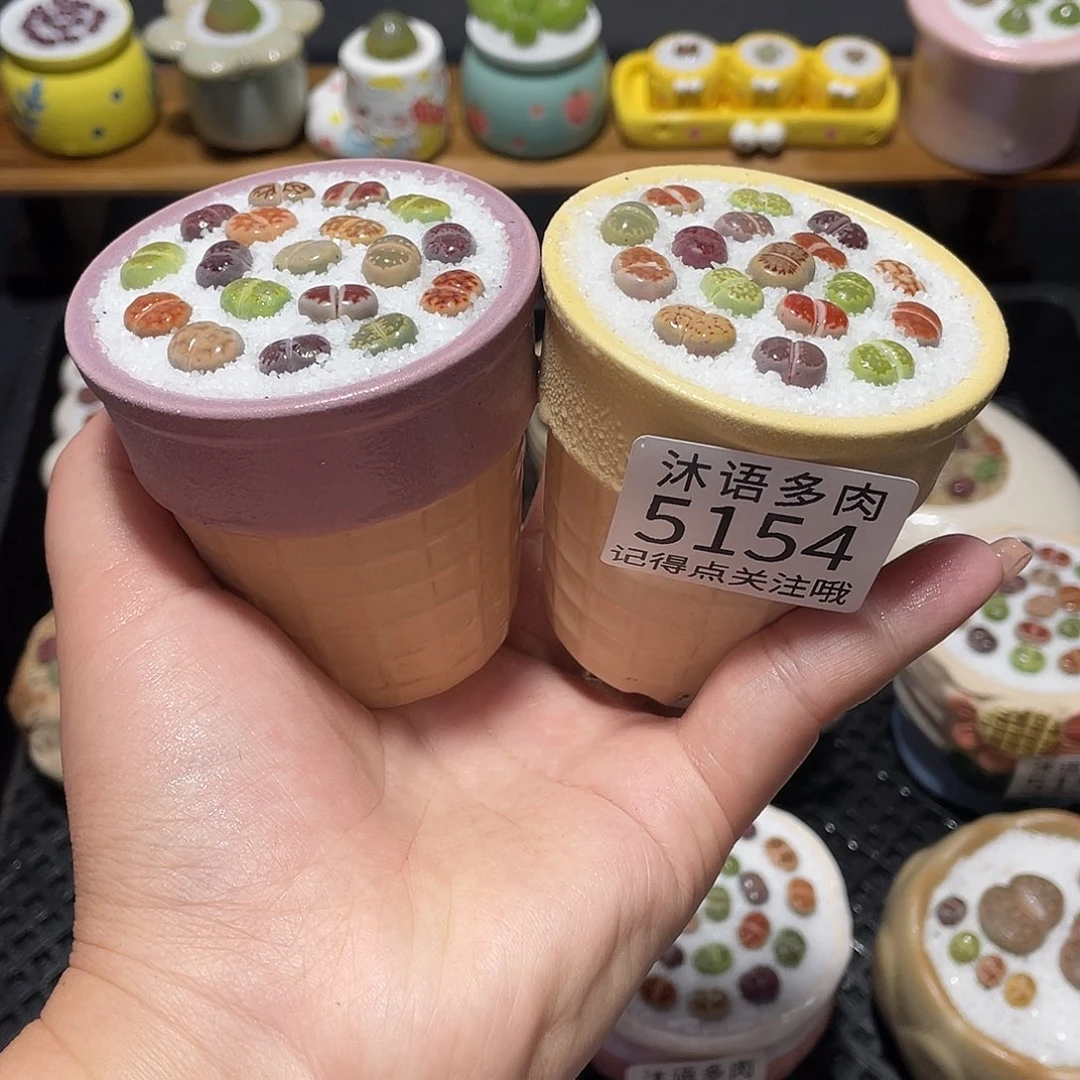 带盆土植物 一物一拍5154