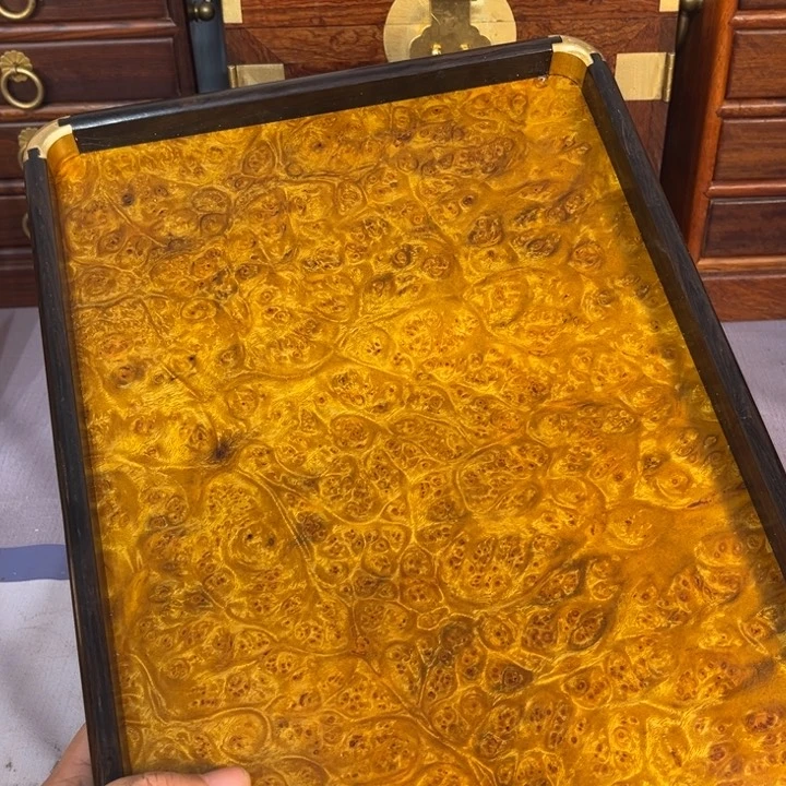 木黄金樟留疤超大托盘