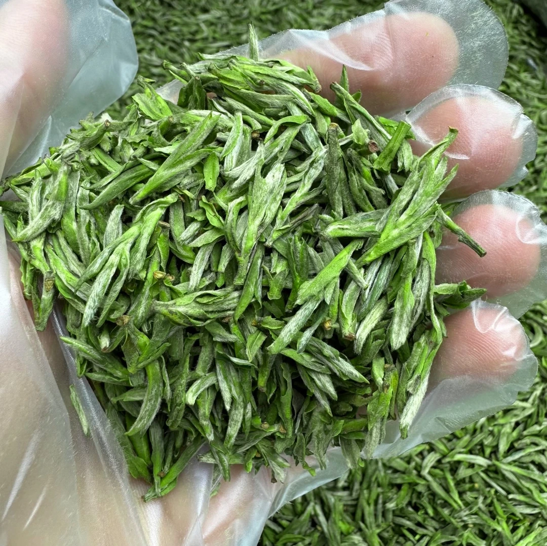 2025年春茶安徽毛峰