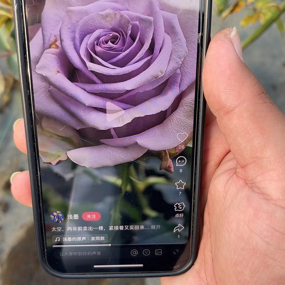 无花朵———太空 福利款