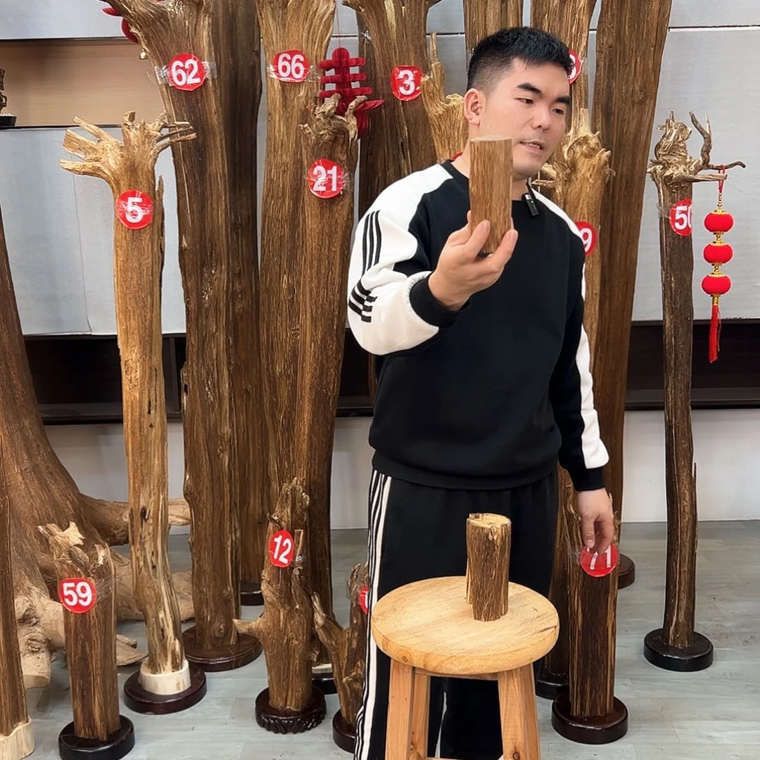 沉香摆件海南沉香摆件