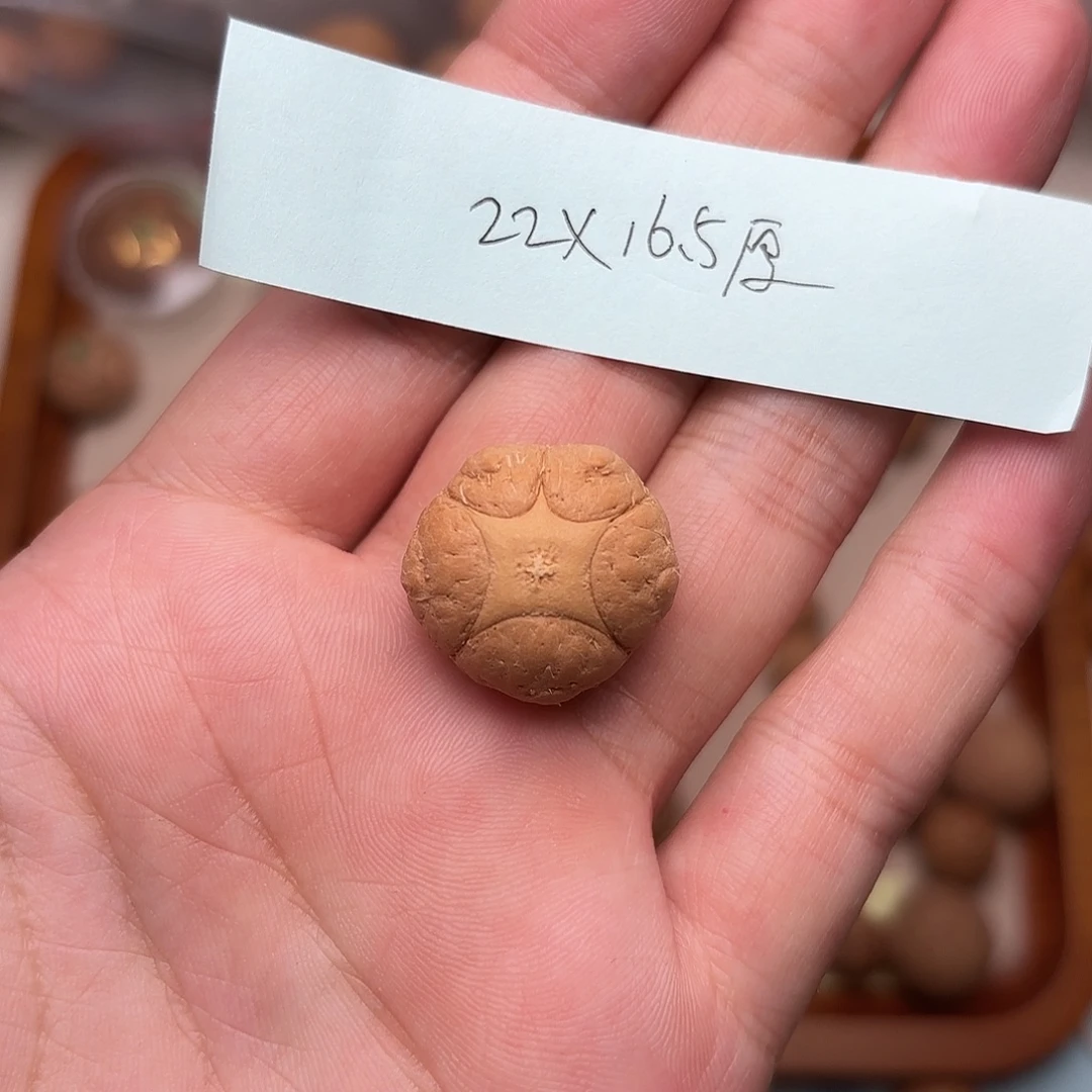 凤眼菩提手串五星三通