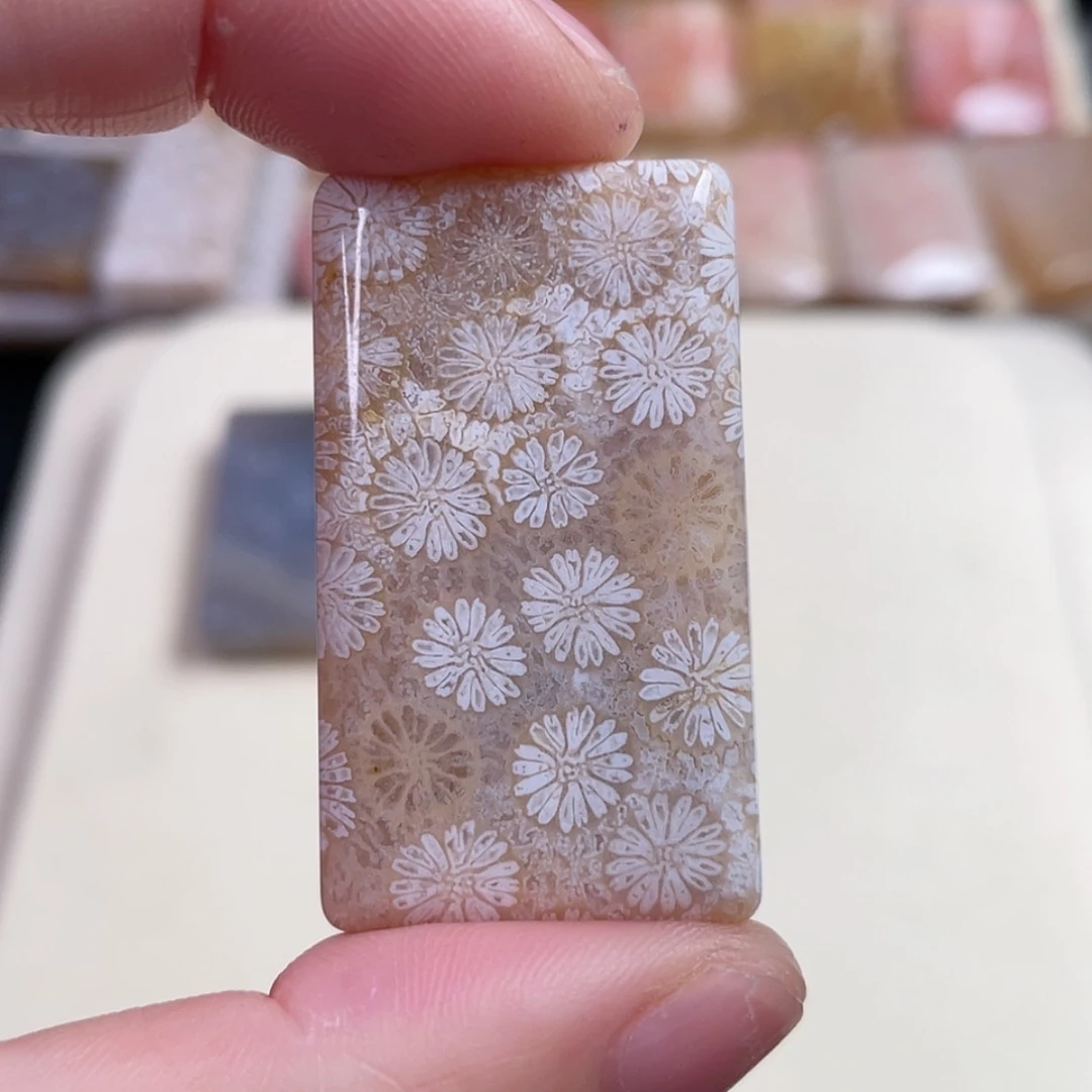 【闪购商品】未镶嵌吊坠(赠链)硅化玉阳*