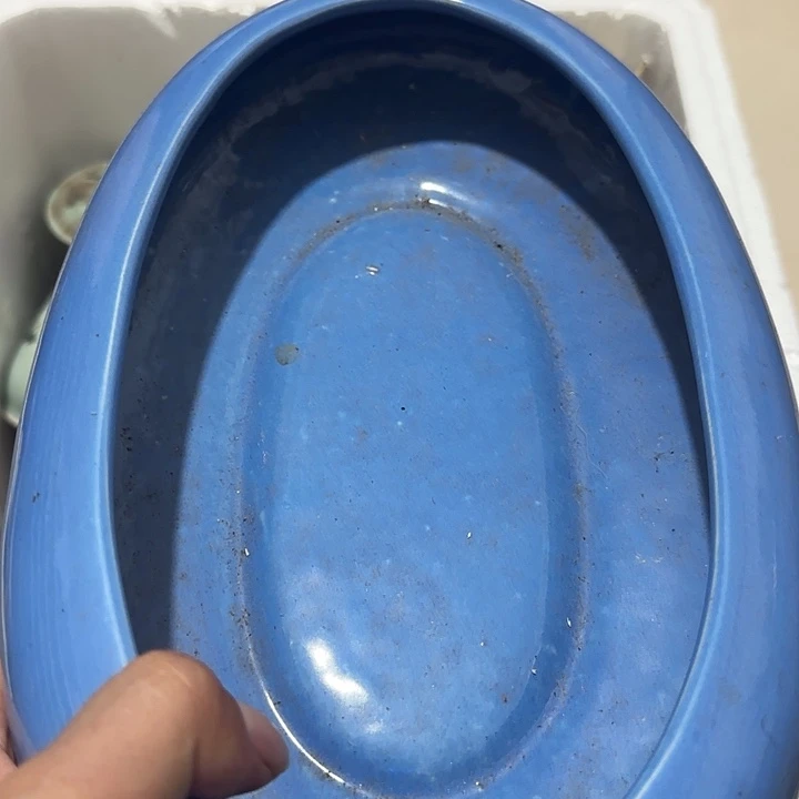 放***想香榧木fyfgfgfgvgvvcc