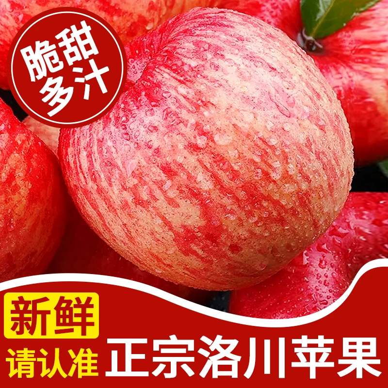 【产地直发】正宗陕西洛川2025红富士苹果脆甜多汁清脆爽口果农直发