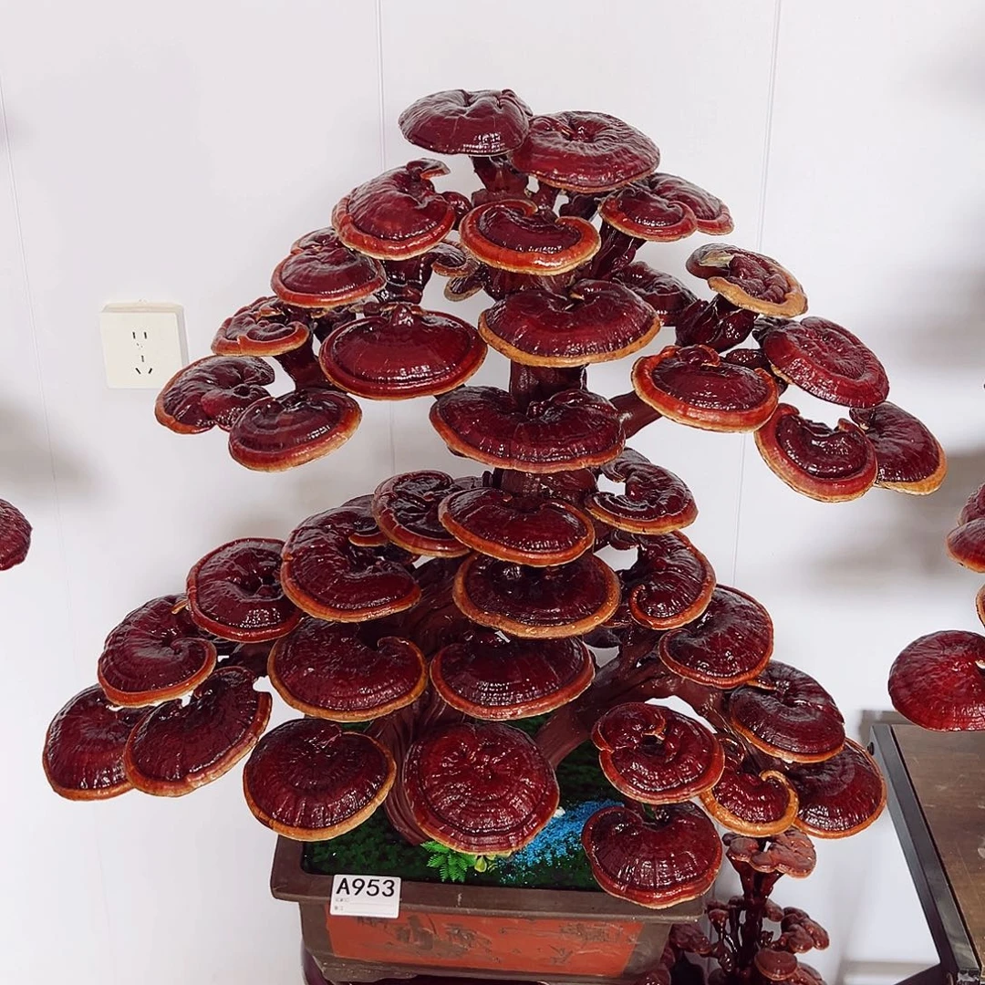 【闪购商品】全部花朵