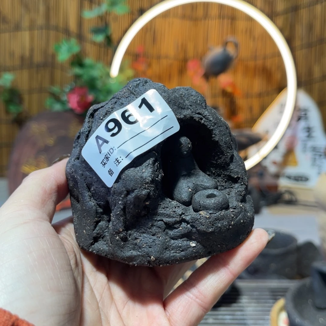 木村信弘柴烧保平