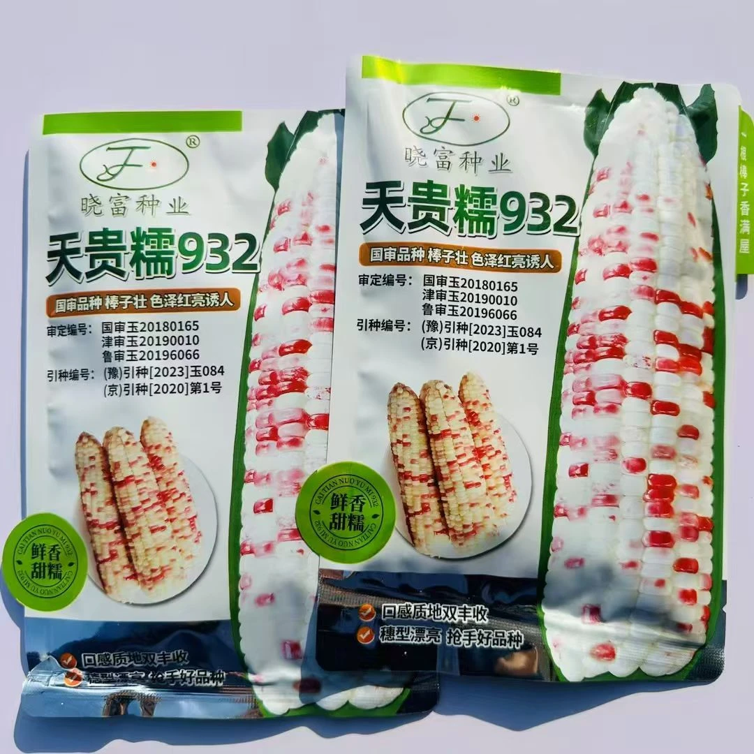 天贵糯932彩甜糯玉米种子大棒非转加甜糯小花甜糯玉米种子