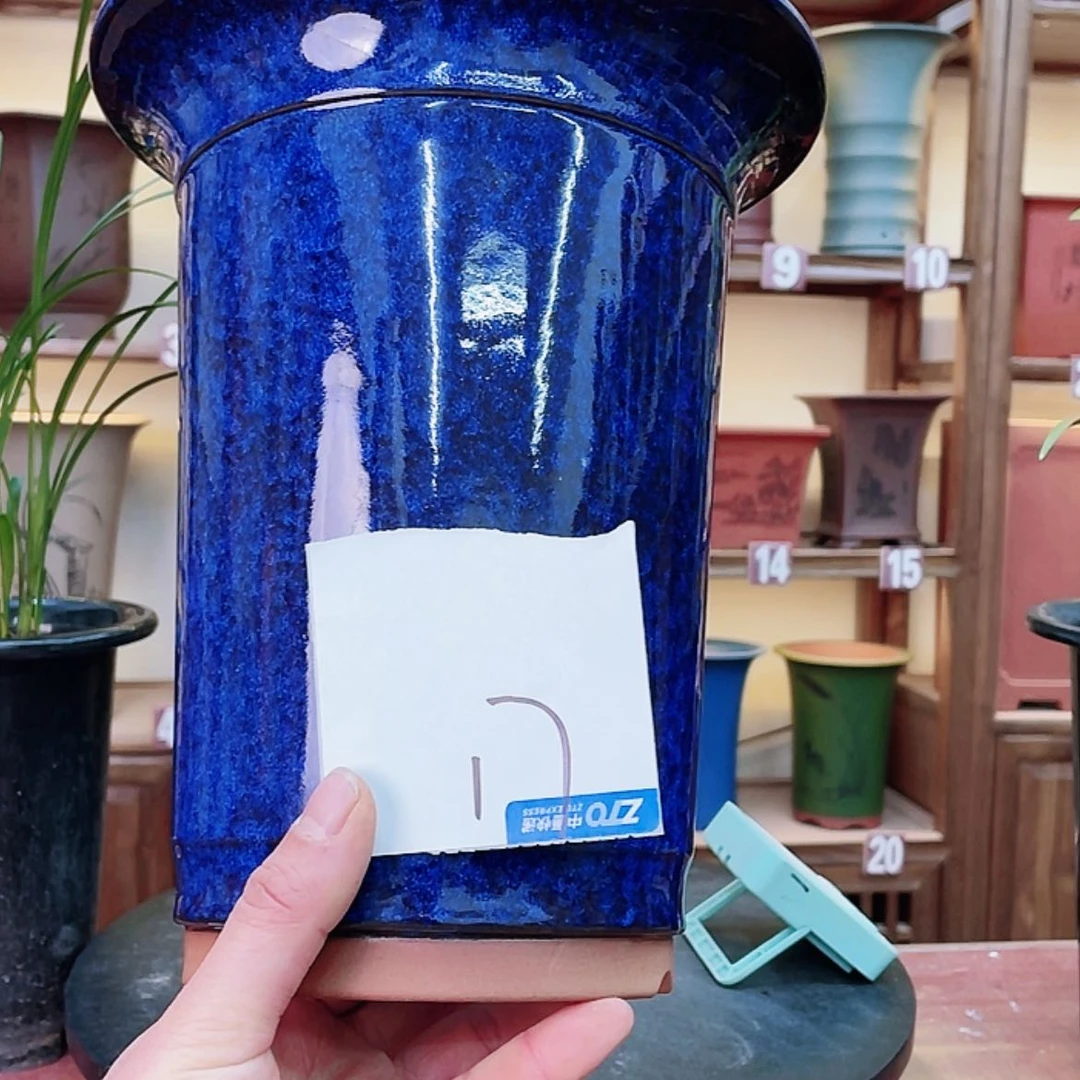 【闪购商品】紫砂花盆随**安兰花455668885588888665