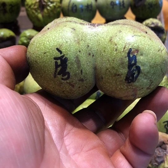 吊坠桃核核桃核桃