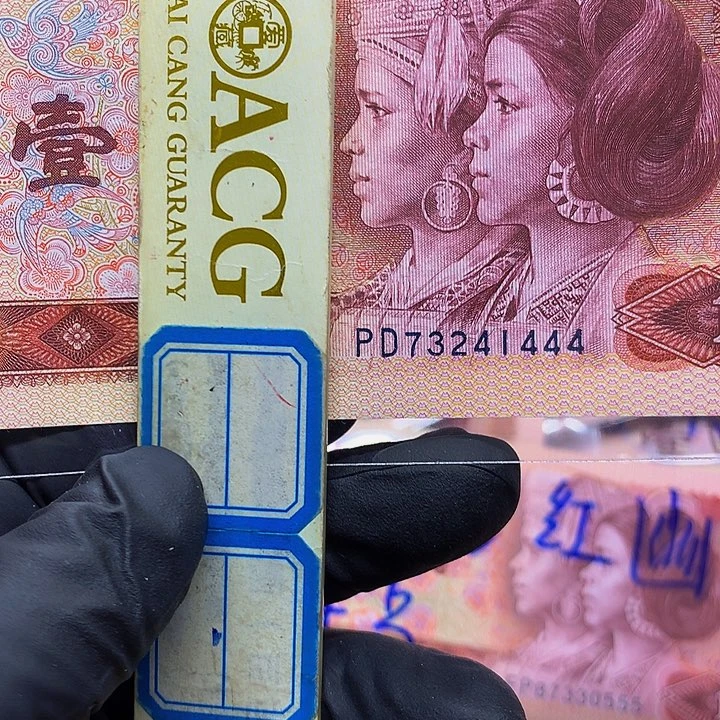 干*801至尊金龙王拍吧
