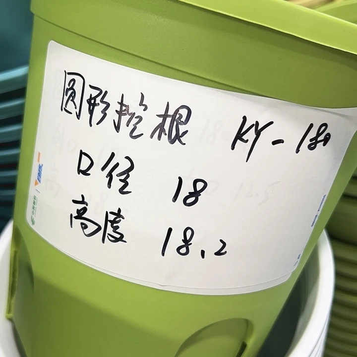 正品圆控口18高18果绿无托8只
