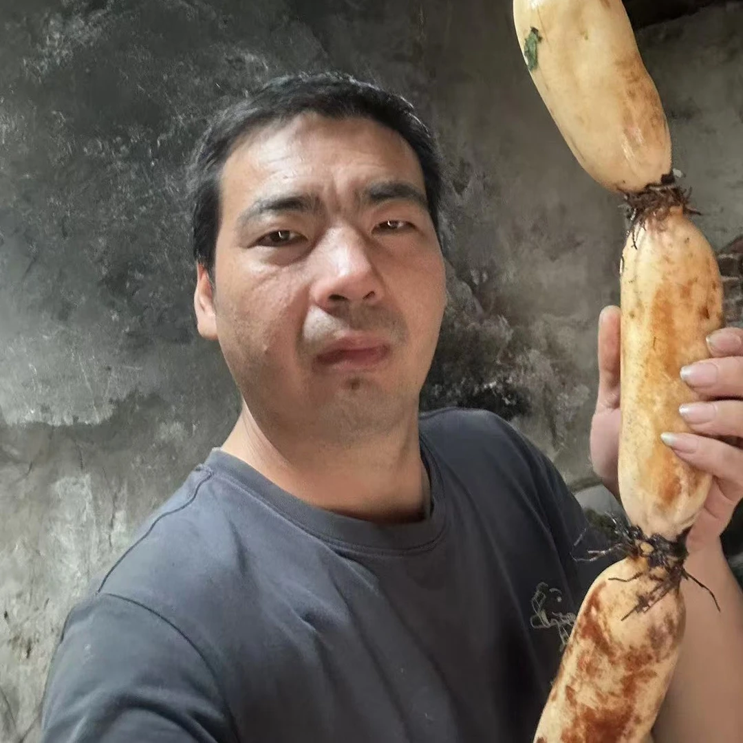 湖北粉藕天门野藕同品种现挖现发新鲜九孔莲藕煲汤粉藕特产面藕