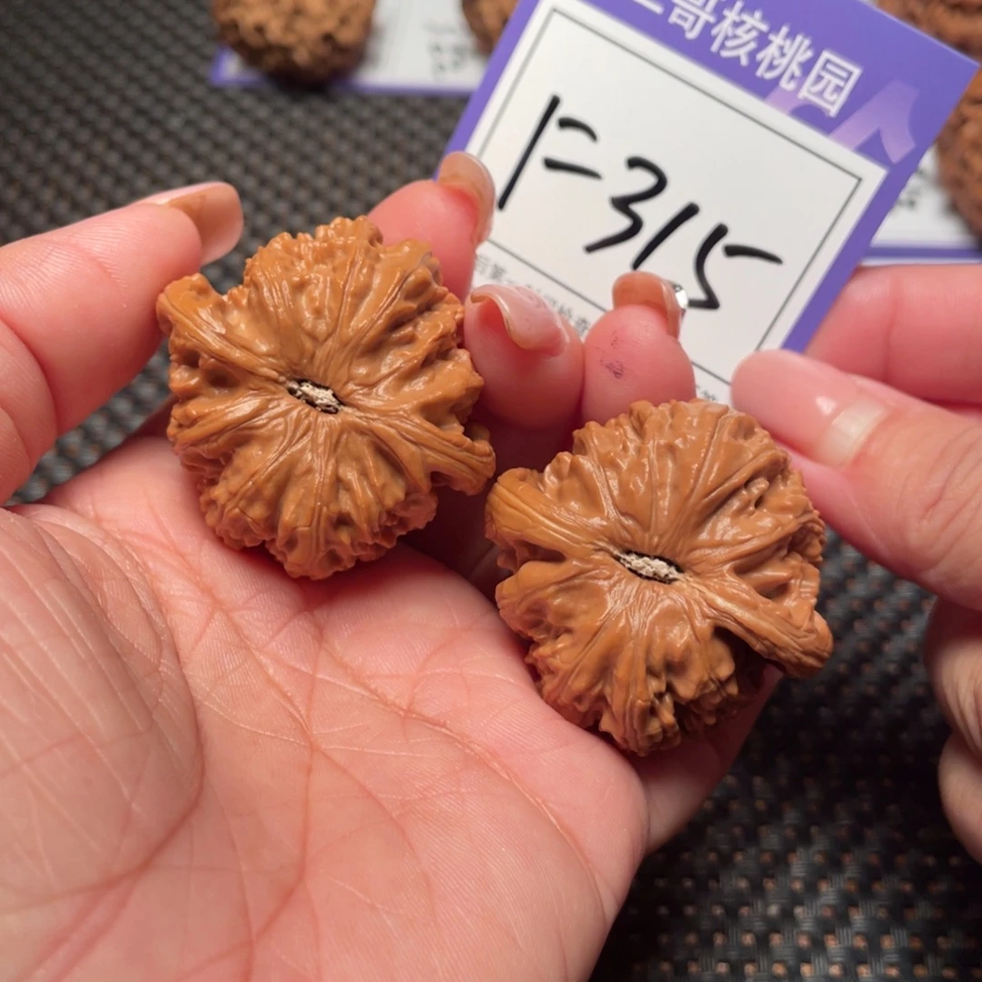 文玩核桃把件315号白狮40