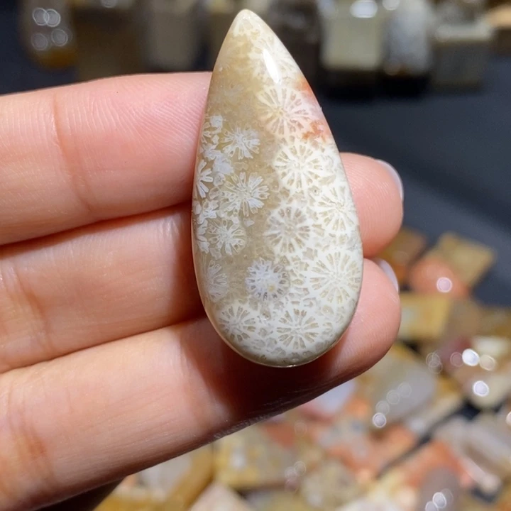 【闪购商品】未镶嵌珊瑚玉硅化玉