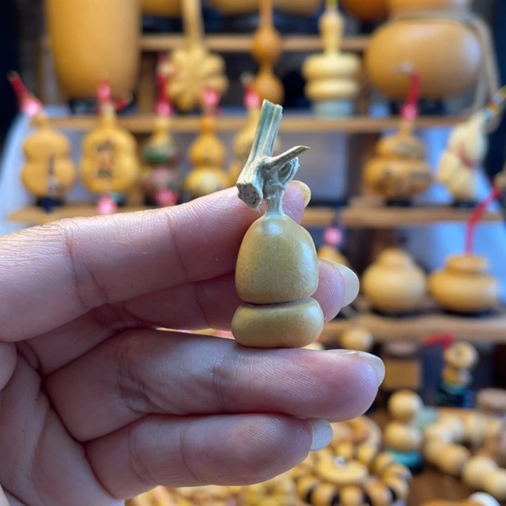 ?**?天然葫芦自然生长