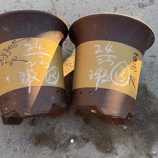 紫砂工艺厂……紫砂工艺厂……