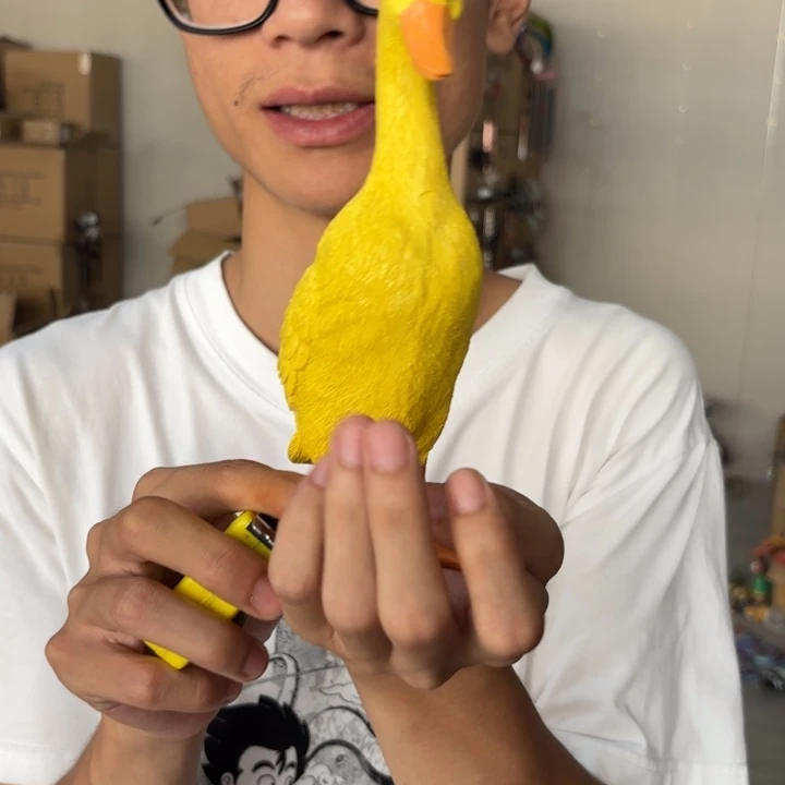 瓷片样品样品样品样品样品黄站鸭