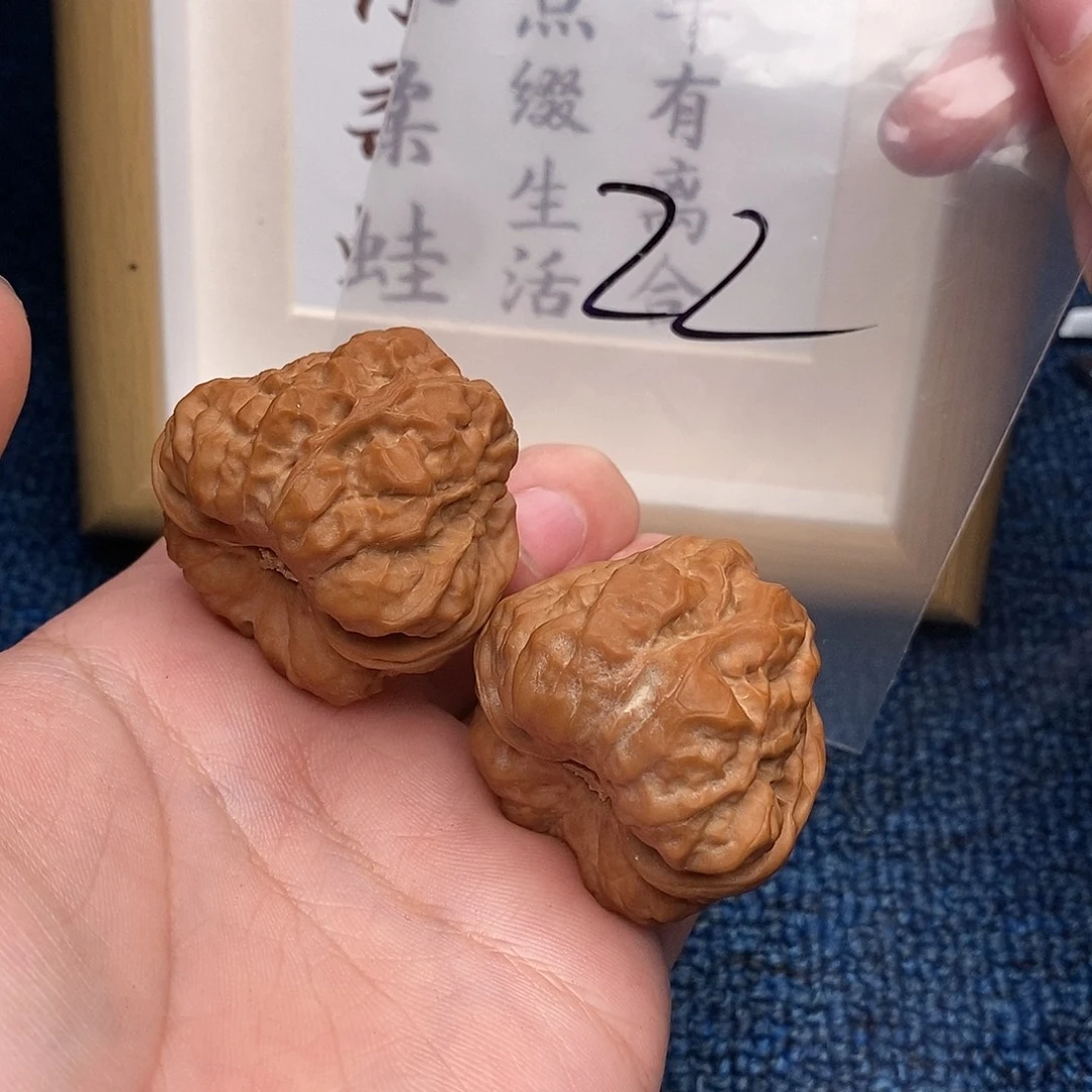 文玩核桃把件蛤蟆头40尺轻微扫尖