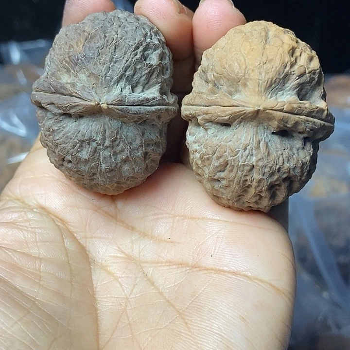 把件文玩核桃云南铁核桃基地100