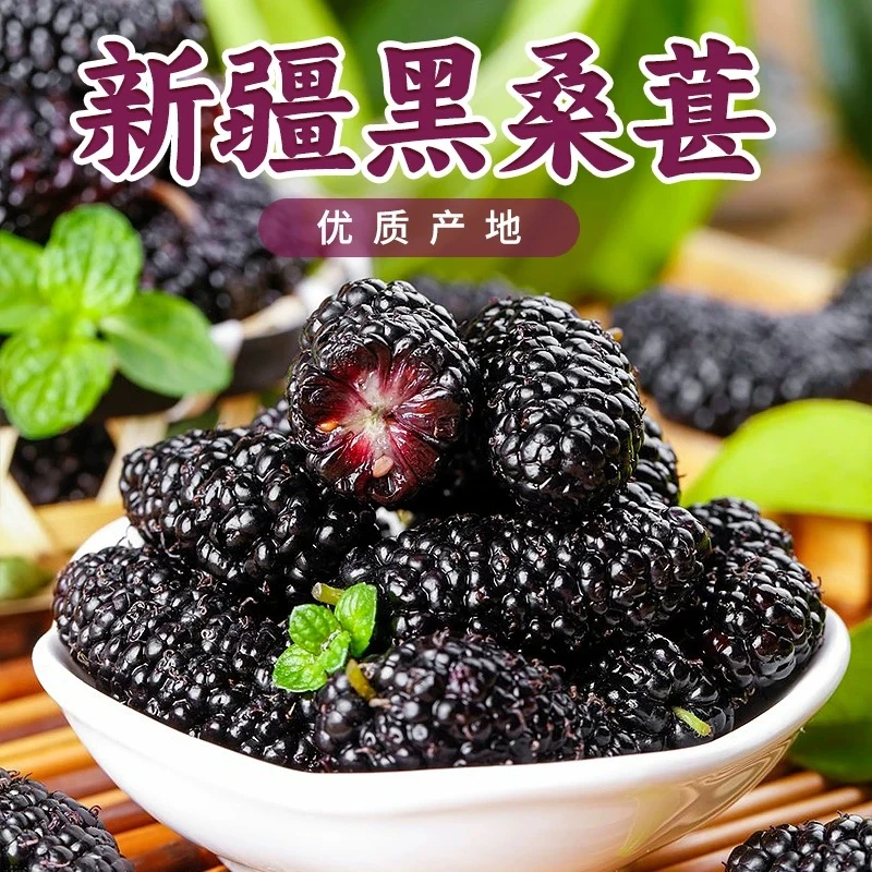 正宗新疆吐鲁番桑葚干大果泡水喝茶泡酒正宗黑桑椹