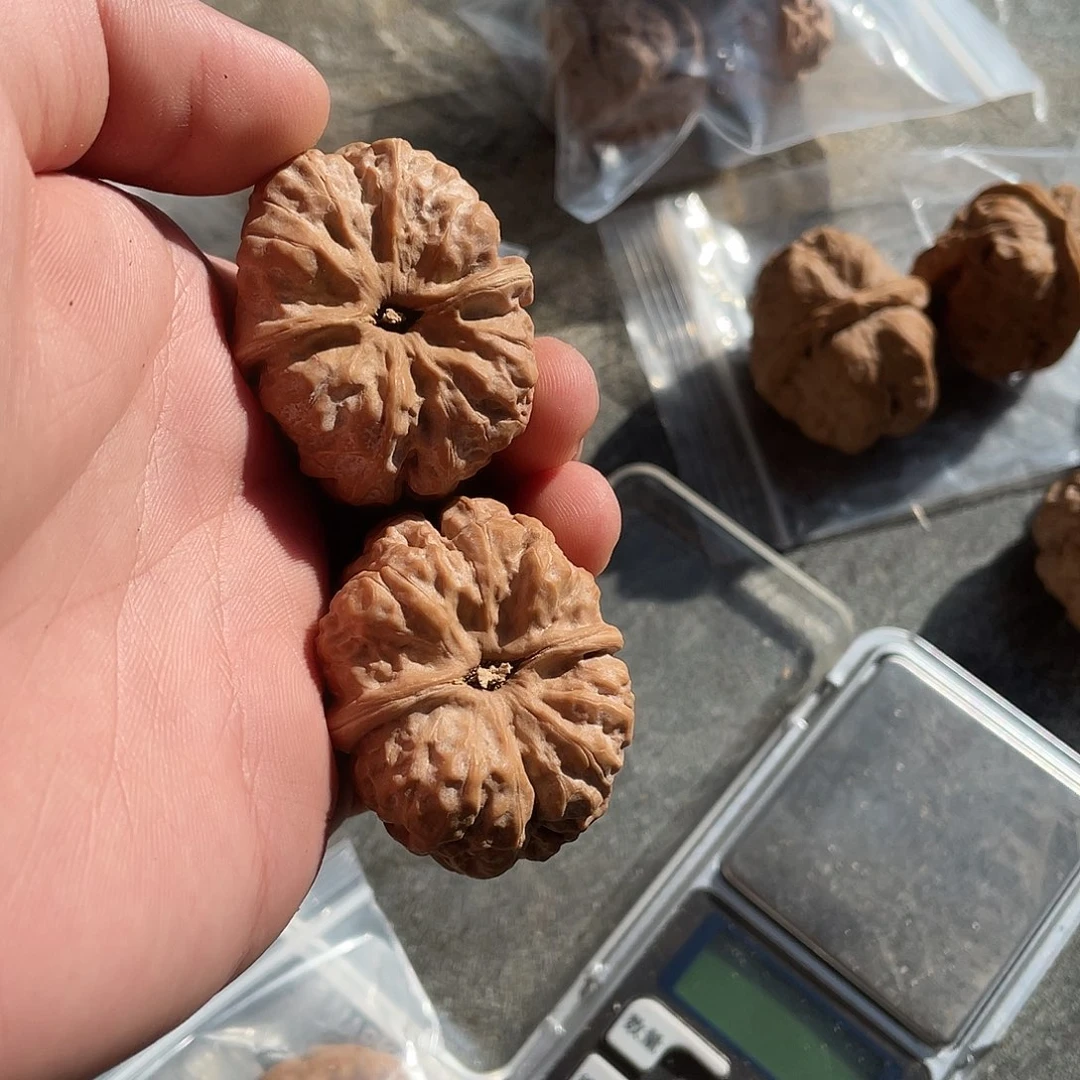 章***员文玩核桃把件蛤蟆头