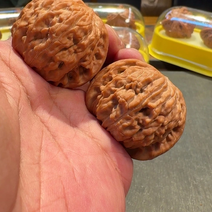 2025核桃季精品山地磨42