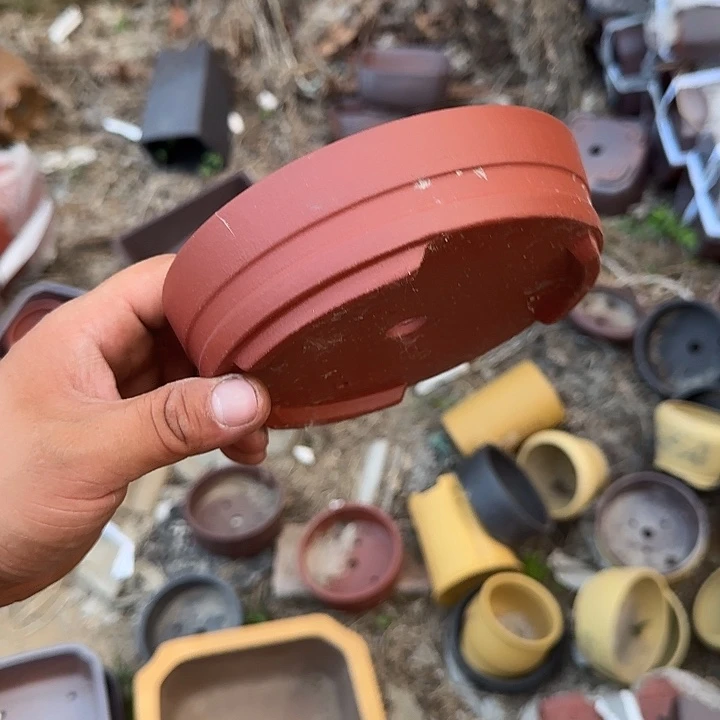 我是仲其祥我现在还在家我朋友要在