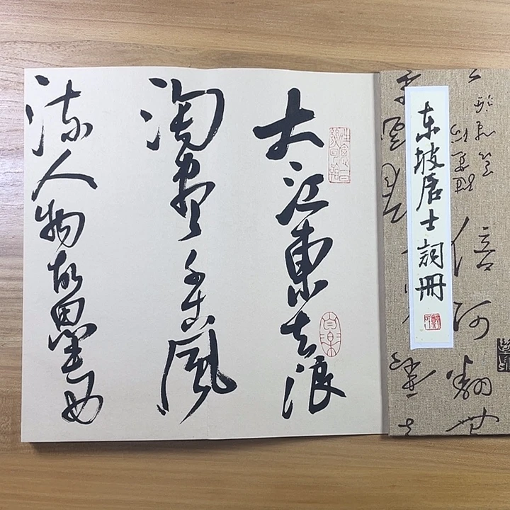 书法中书协会员作品