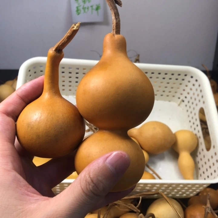 3米2个葫芦111111111111