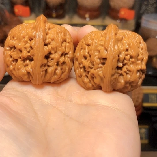 野生高端小众：云端