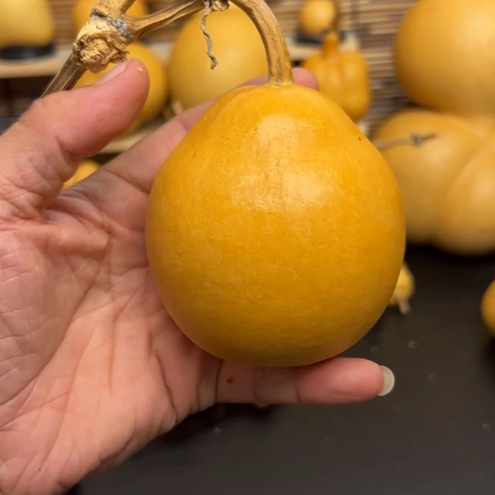 C****侠12669999999999999