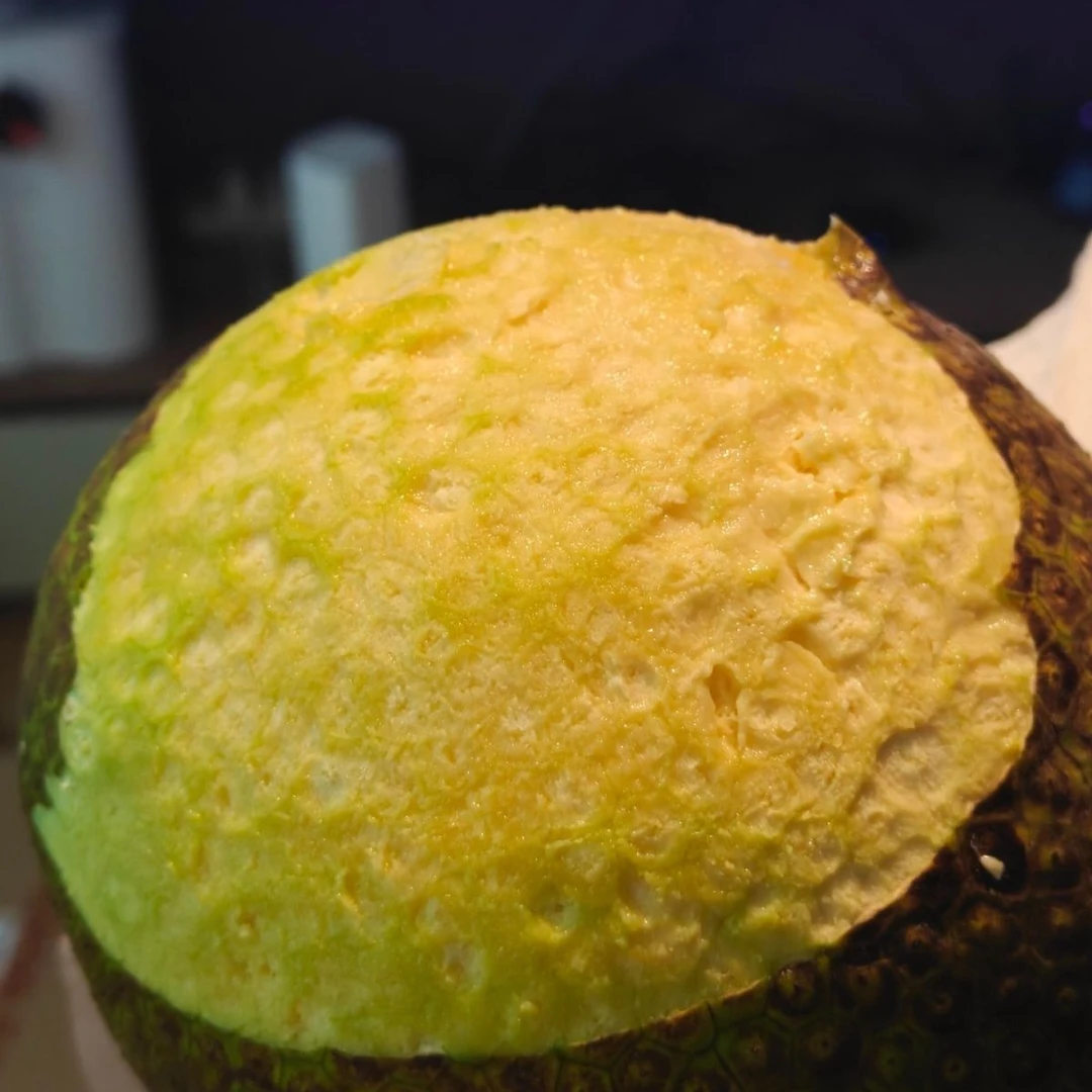 自家果园种植的面包果,现摘现卖!果重1.3-2斤左右随机发货爆款