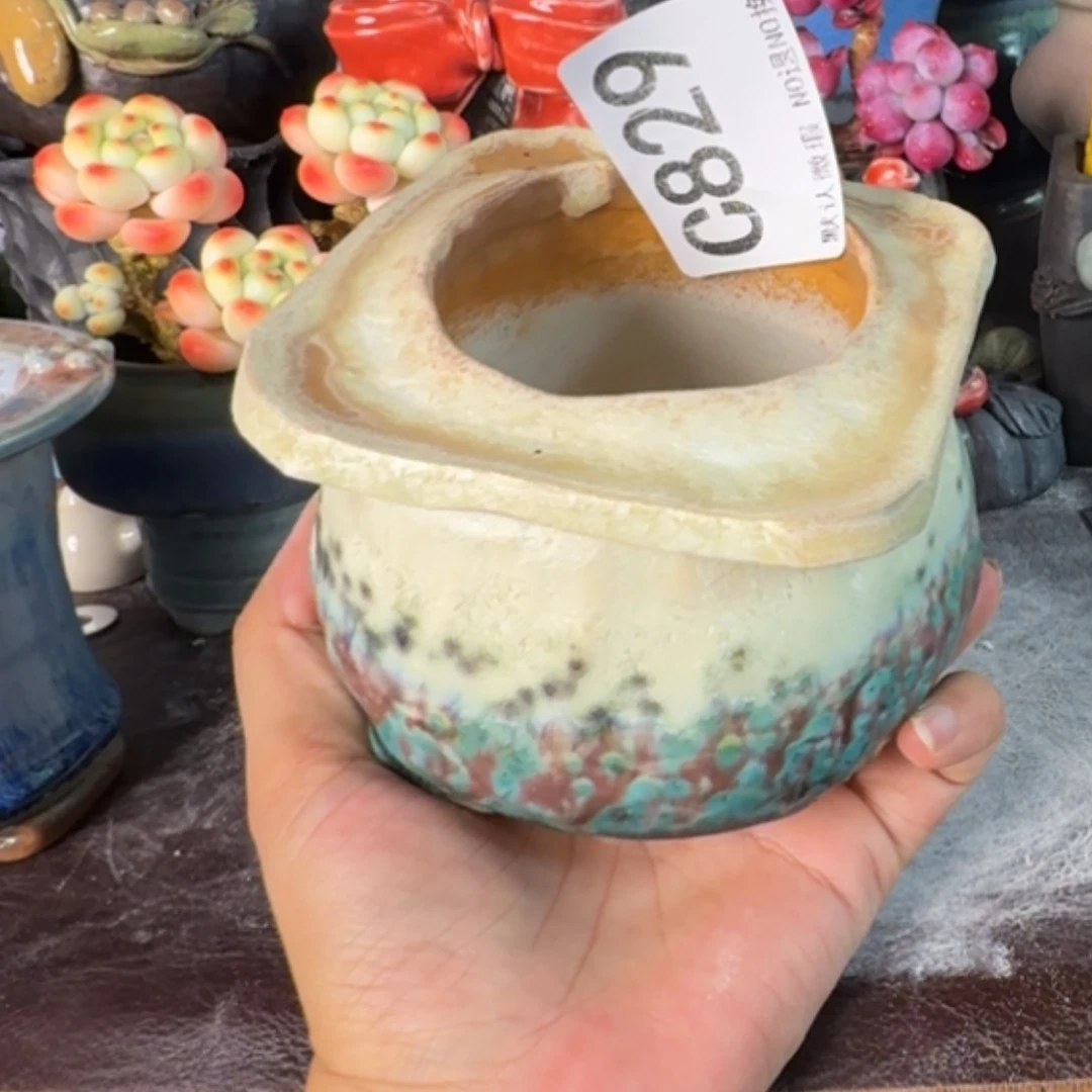 重庆小燕子欢迎大家829