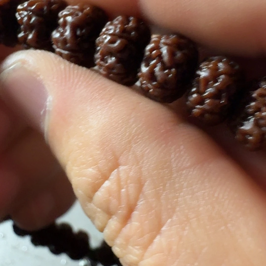 金刚菩提吊坠树祖平细的天花版