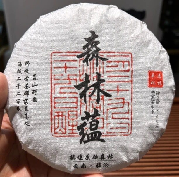 【2025年头春】曼岗森林蕴古树挑採纯料