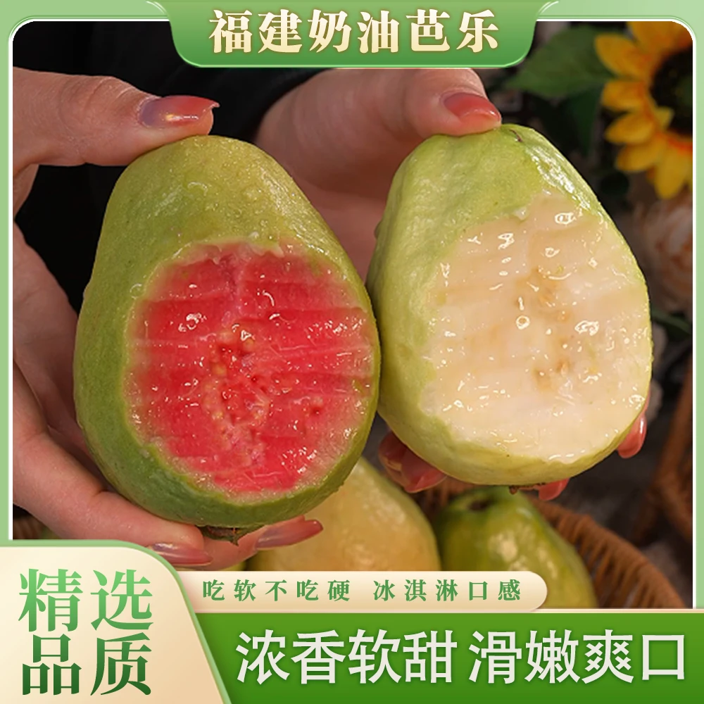 【顺丰】福建奶油芭乐软糯香甜红心白心芭乐番石榴冰淇淋口感美味