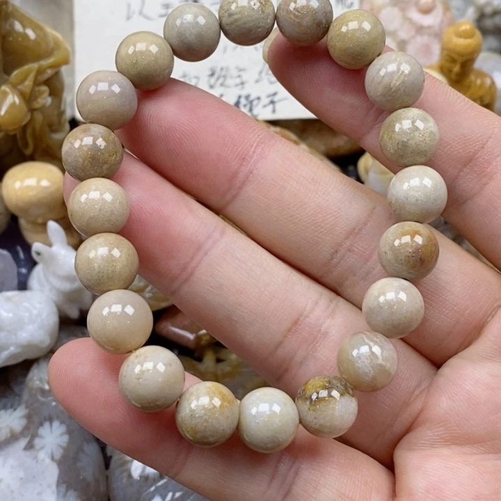 颈饰未镶嵌硅化珊瑚（珊瑚玉）