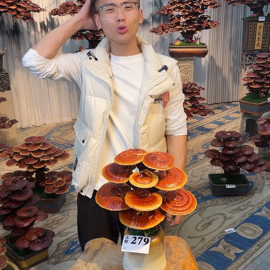 无花朵88888888888