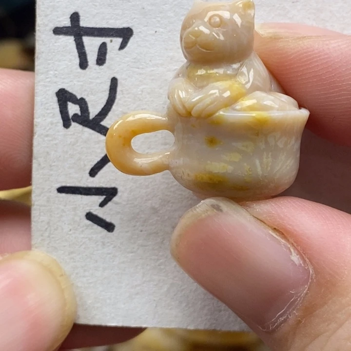 硅化珊瑚（珊瑚玉）未镶嵌颈饰