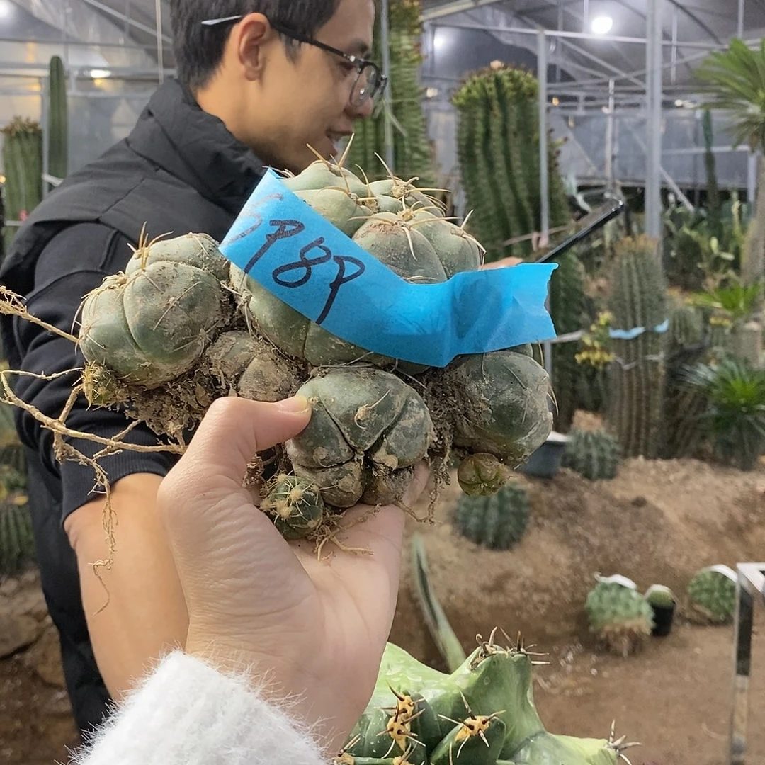6989 随单福利。