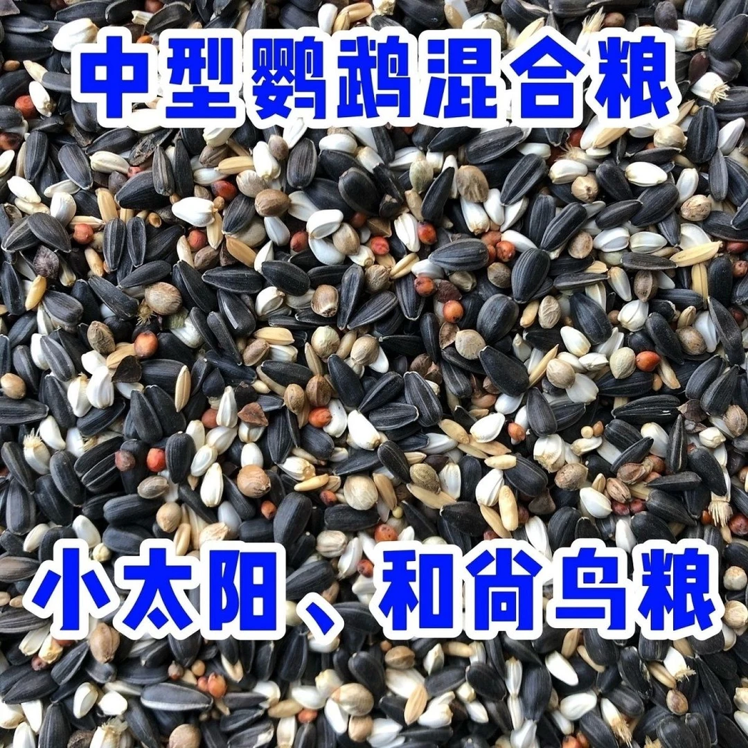 鹦鹉混合粮牡丹小太和尚玄凤混合粮