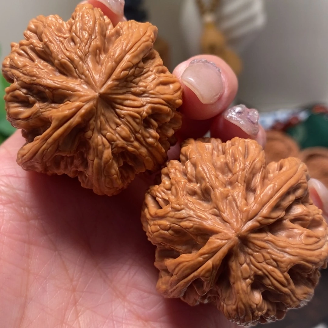 文玩核桃把件44尺寸粗筋