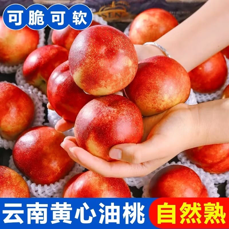 云南高原果黄心露天油桃自然成熟新鲜采摘果园直发