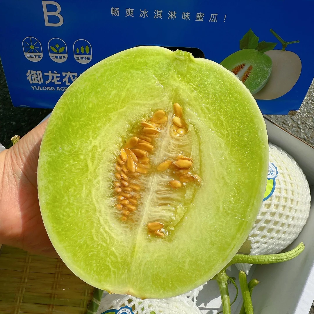 小箱清淳蜜玉菇甜瓜2斤左右哈密瓜