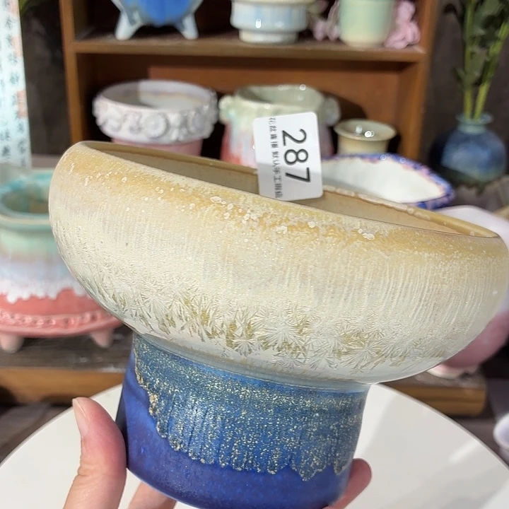 花盆花盆花盆花盆