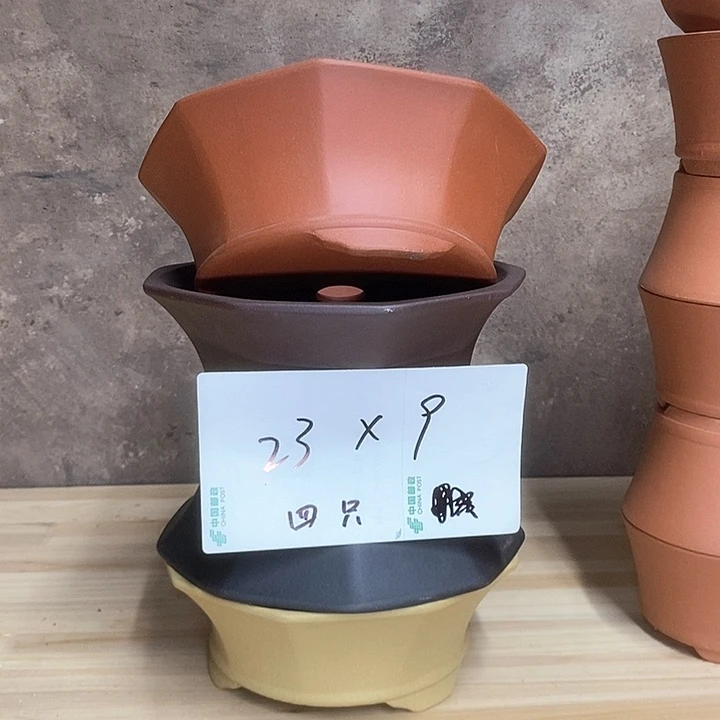 紫砂花盆我在外面